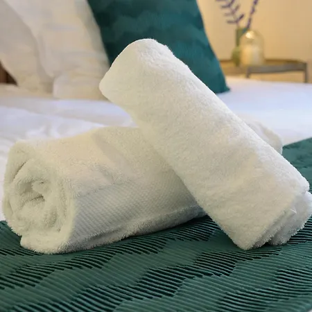 Résidence Le Mésange, Centre-ville Appartement Strasbourg