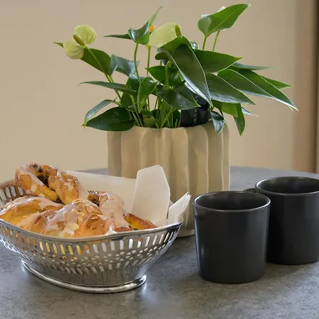 Le Mesange, Centre-ville Apartament Strasburg