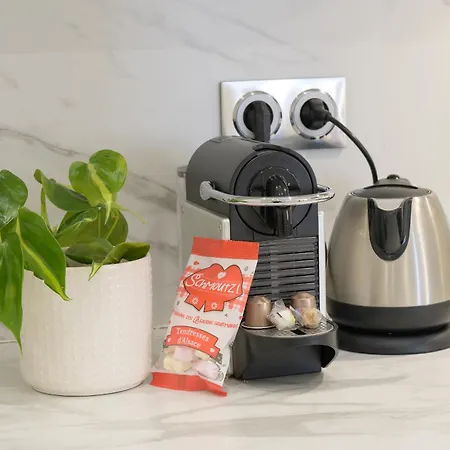 Appartement Résidence Le Mésange, Centre-ville Strasbourg