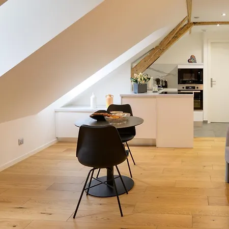 Le Mesange, Centre-ville Στρασβούργο