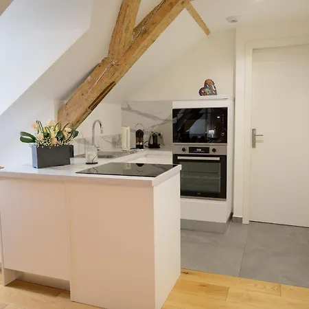 Le Mesange, Centre-ville * Στρασβούργο